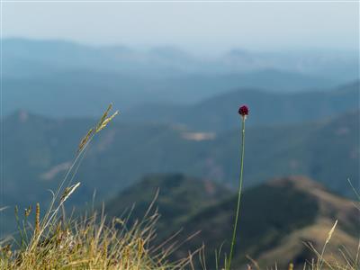 Blick vom Mont Aigoual (1567m). Zweithöchster Gipfel im Nationalpark der Cevennen