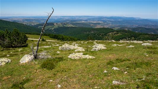 Blick vom Mont Aigoual (1567m)