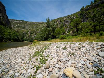 Pougnadoires