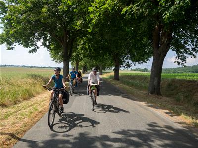 Mecklenburger Seen Radweg