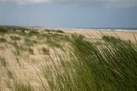 Charente Maritime