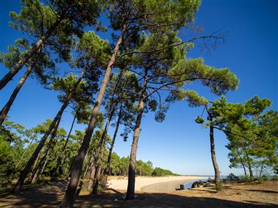 Plage de Gatseau