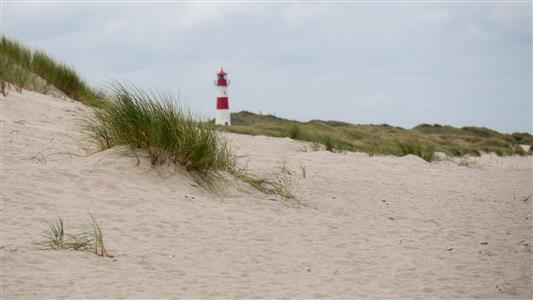 Sylt