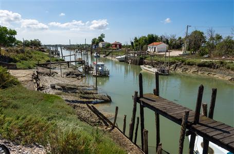 Port de la Cayenne