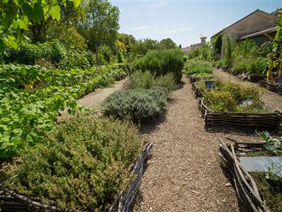 Potager du Roy