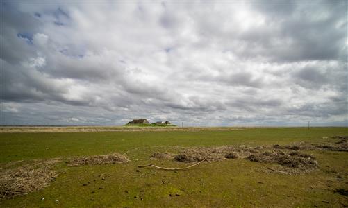 Hamburger Hallig