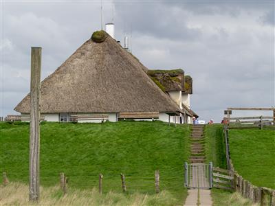 Hallig Krog