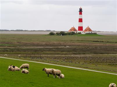 Westerhever